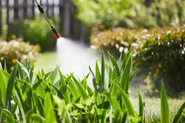 24/7 Emergency Termite Control experts in Russell, KS