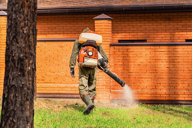 Trusted Termite Control service in Russell, KS - Nex Pest Control